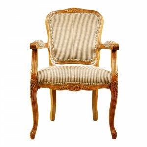 4651364-armchair